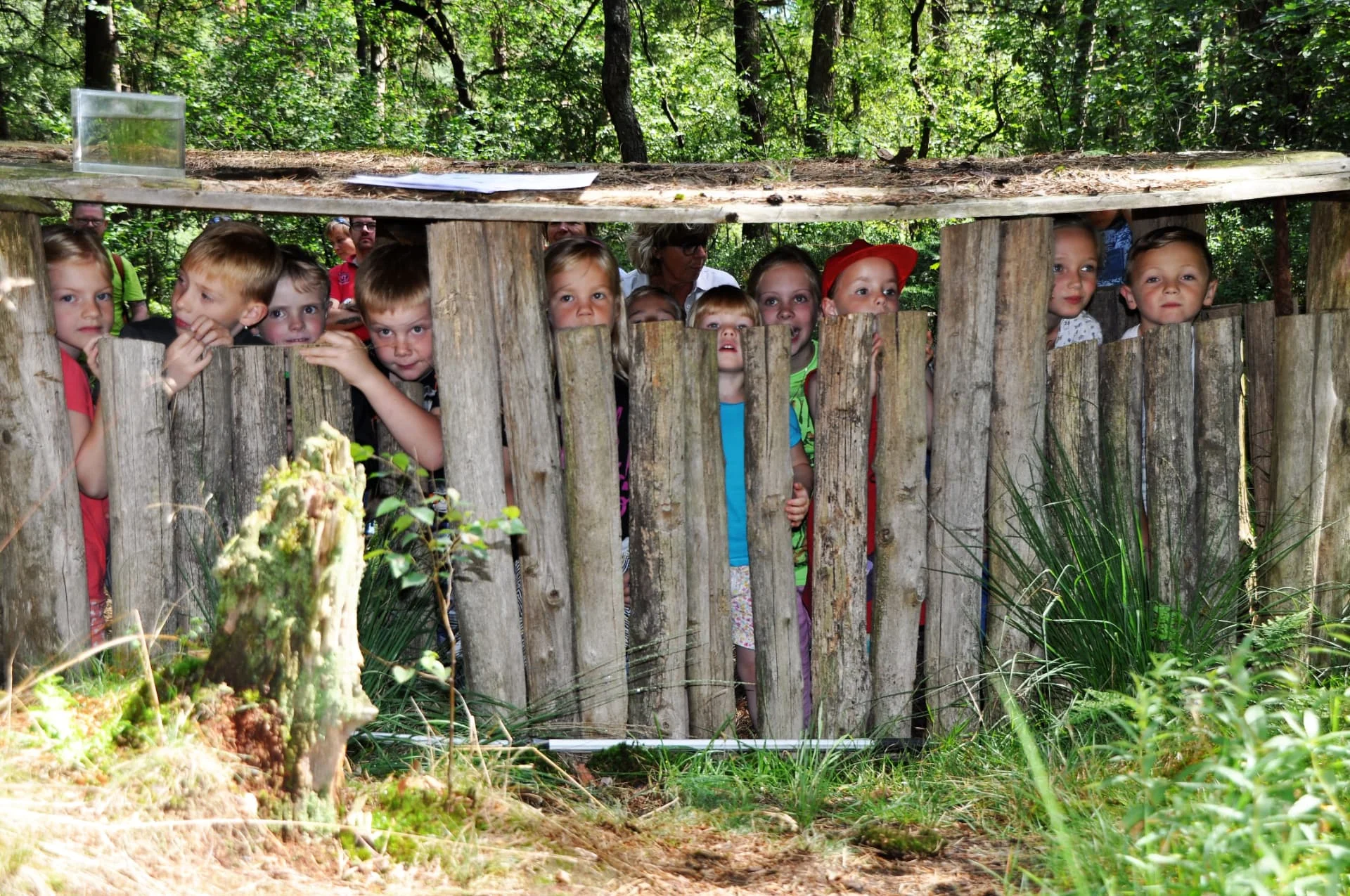 Kinderen kijken nieuwsgierig over de houten hut in het Bos van Daantje Das