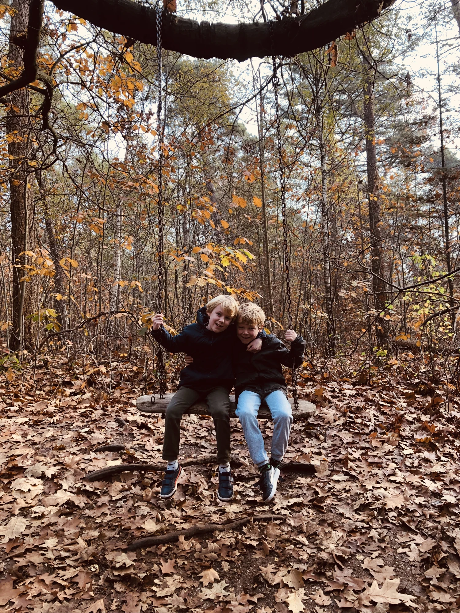 Twee jongens samen op de grote houten schommel in het Bos van Daantje Das